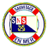 Logo SNSM